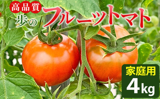 【高知県】フルーツトマト 高品質！ 歩の フルーツトマト 家庭用 トマト 4kg - とまと 完熟 訳あり 訳アリ 野菜 やさい フレッシュ 料理 アレンジ 高知県 香南市 常温 冷蔵 ga-0006