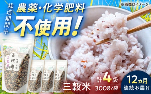 【12回定期便】自然農法で育てた 古代米 三穀米 1.2kg（300g×4袋）/永尾 忠則 [UAS016] 雑穀 雑穀米 米 お米 1142391 - 佐賀県武雄市