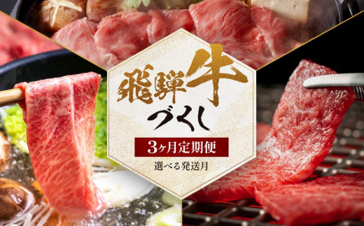 ＜5月開始＞【飛騨牛づくし定期便】「選べる月別発送」肉 飛騨牛 定期便 約1.6kg ZZ020VC05 1690106 - 岐阜県高山市