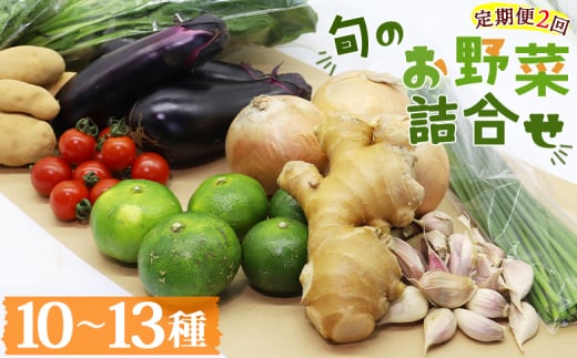 【定期便】野菜 2回コース 高知県香南市産 旬のお野菜詰合せ(10～13品目) - 10～13種類 やさい 季節の野菜 新鮮 お楽しみ おたのしみ おまかせ 詰め合わせ セット 土佐野菜 新鮮 国産 高知県 香南市 プライム Wpr-0018