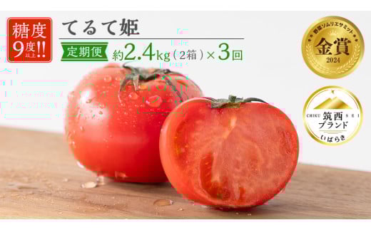 【 先行予約 】【 3ヶ月 定期便 】 てるて姫 中箱 約1.2kg × 2箱 【12〜15玉/1箱】 糖度9度 以上 野菜 フルーツトマト フルーツ トマト とまと [AF050ci]