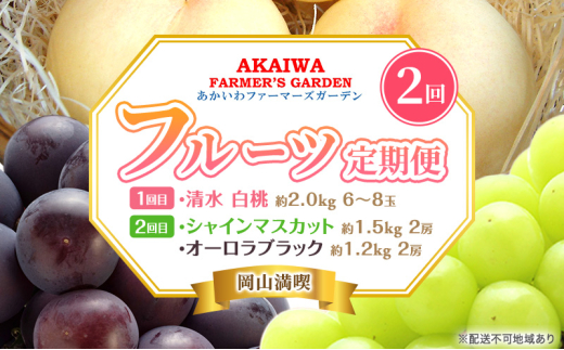 桃 ぶどう 定期便 2025年 先行予約 岡山満喫! 清水 白桃 約2.0kg 6〜8玉 ぶとう 2種 詰合せ 2回に分けてお届け!