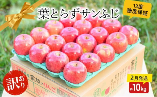 【 2月発送 】 糖度13度以上 訳あり 家庭用 葉とらず サンふじ 約 10kg 【 弘前市産 青森りんご 】 果物 フルーツ デザート 食後 青森県産 産地直送 685869 - 青森県弘前市