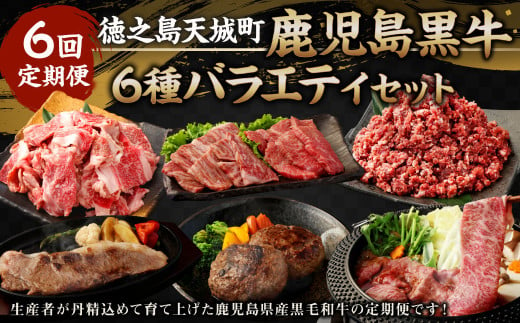 【6回定期便】鹿児島黒牛 バラエティセット 焼肉 すき焼き ステーキ バラスライス 和牛ミンチ ハンバーグ 鹿児島牛 鹿児島黒牛 黒牛 ロース カルビ バラ 冷凍 定期便 6回