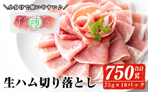 ＜2025年3月中に発送予定＞国産豚生ハム切り落とし75g×10P(計750g) 生ハム おつまみ 小分け 【ナンチク】A302-03-v01