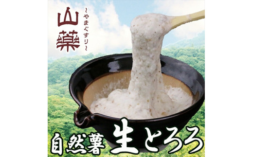 自然薯の味をお楽しみください。自然薯生とろろ100ｇ×30ｐセット【とろろ 極上とろろ 山芋 お家用 家庭用 国産 セット商品 自然薯 神奈川県 小田原市 】