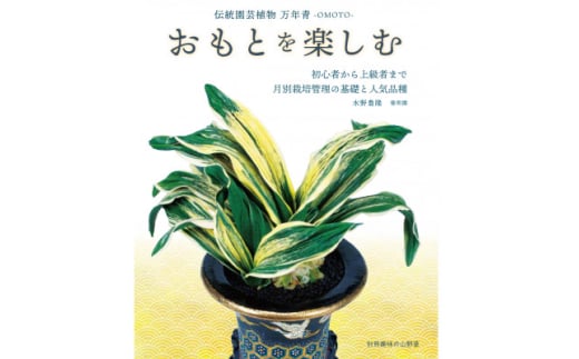 徳川家康公の縁起物!萬年青講座と植え替え体験＜萬年青プレゼント!＞【1581464】