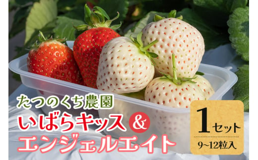 いばらキッス・エンジェルエイトセット（合計9〜12粒） 1954722 - 茨城県常陸大宮市