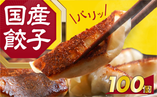 国産素材を使用した、パリっとおいしい冷凍餃子！たっぷり100個！ 1610904 - 愛知県豊橋市