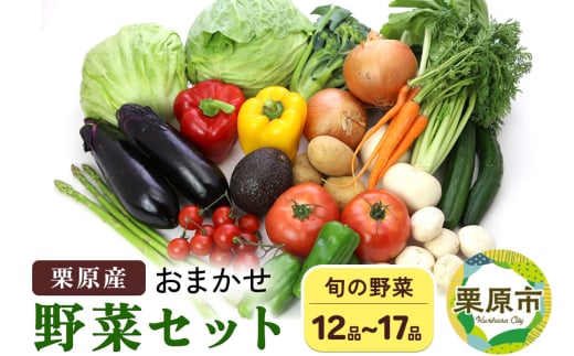 栗原産 お任せ野菜セット（12品～17品） 1950286 - 宮城県栗原市