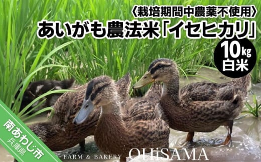 令和6年産　イセヒカリ　10kg（5kg×2）　白米〈栽培期間中農薬不使用　あいがも農法米〉 1175108 - 兵庫県南あわじ市