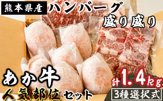 《あか牛》ハンバーグ盛り盛り 人気部位おまかせ1点 お楽しみセット 計1.4kg 熊本県産 南関町産 赤牛 褐牛 あかうし 褐毛和種 肥後名物 国産 牛肉