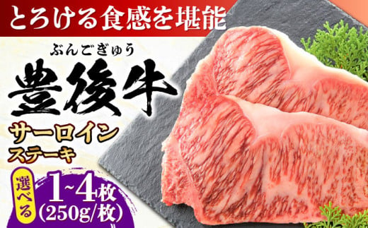 [選べる容量]おおいた豊後牛 サーロインステーキ 250g~1kg 日田市 / 株式会社MEAT PLUS 肉 牛肉 和牛 [AREI006-008]