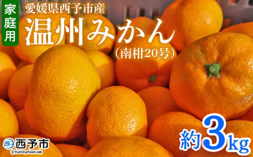 先行予約 ＜愛媛県西予市産 温州みかん（南柑20号）家庭用 約3kg（サイズ不揃い・小傷あり）＞ 訳あり  果物 くだもの ミカン 柑橘 フルーツ 食べて応援 特産品 段畑みかん 愛媛県 西予市【常温】