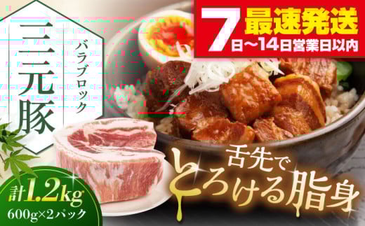 三元豚 バラブロック1.2kg（600g×2パック）《喜茂別町》【平田牧場】 肉 豚肉 バラ ブロック 煮豚 酢豚 煮物 冷凍配送 北海道 [AJAP073] 13000 13000円