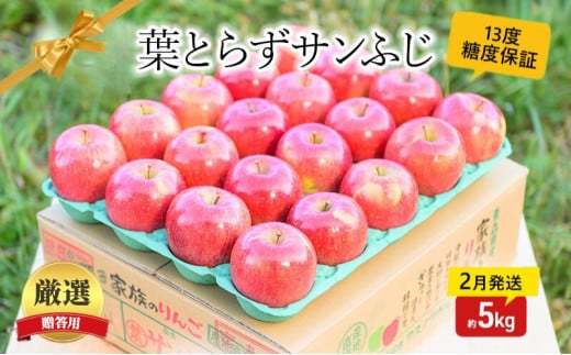 【 2月発送 】 糖度13度以上 おもてなし用 葉とらず サンふじ 約 5kg 【 弘前市産 青森りんご 】 果物 フルーツ デザート 食後 青森県産 産地直送 685866 - 青森県弘前市