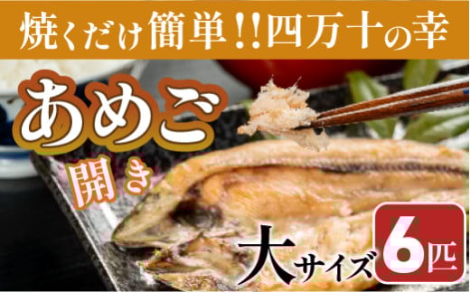 焼くだけ簡単！無投薬で四万十育ちのあめごの開き　大サイズ6匹 Eay-05　おつまみ バーベキュー BBQ アウトドア アメゴ 魚 魚介 川魚 塩焼き　あまご　開き　干物 1951653 - 高知県四万十町