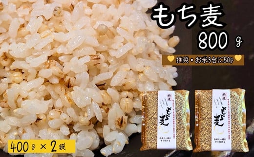 もち麦 【800g】 そのままごはんと一緒にすぐ炊ける 8ぶづき ~栽培期間中 化学肥料 農薬不使用~【7月~3月の間に順次発送】G8-05 921493 - 岐阜県関市