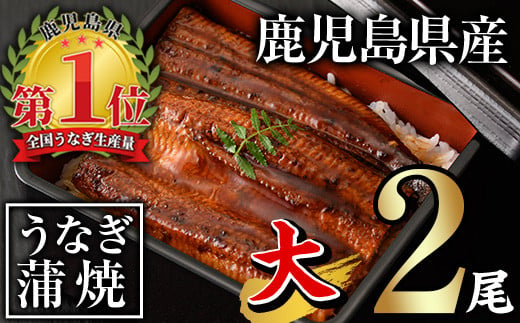 無投薬！鹿児島県産うなぎ蒲焼セット＜大＞(計280g・ 約140g×2尾) タレ・山椒付き  鰻 うなぎ 蒲焼 【西日本養鰻】A60-v01