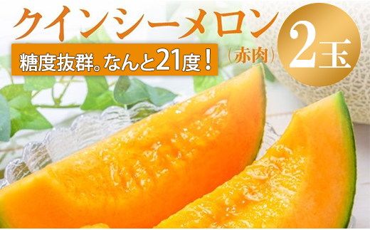 メロン めろん 糖度21度以上！奇跡の クインシーメロン 2玉 赤肉 人気 おすすめ クインシー 甘い 濃厚 高糖度 自家栽培 メロン 贈答用 贈り物 プレゼント  送料無料 片岡農園 クレストファーム 茨城県 鉾田市