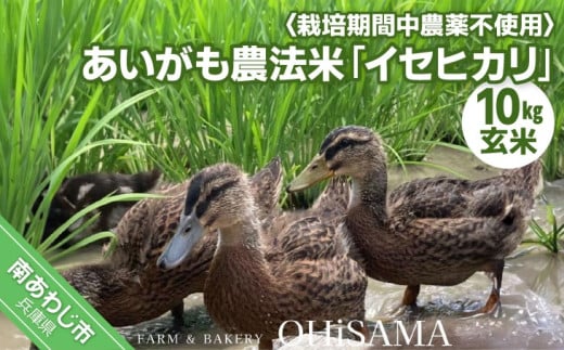 令和6年産　イセヒカリ　10kg（5kg×2）　玄米〈栽培期間中農薬不使用　あいがも農法米〉 1175106 - 兵庫県南あわじ市