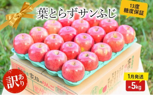 【 1月発送 】糖度13度以上 訳あり 家庭用 葉とらず サンふじ 約 5kg 【 弘前市産 青森りんご 】 果物 フルーツ 食後 デザート 青森県産 産地直送 1129251 - 青森県弘前市