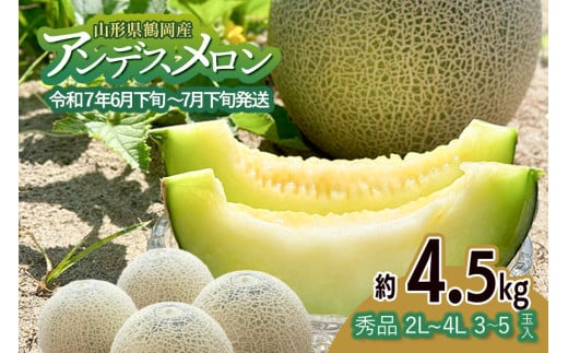 【令和7年産先行予約】アンデスメロン（青肉） 約4.5kg 2L～4L 【秀品】 3玉～５玉入 【令和7年6月下旬～7月下旬頃発送予定】 山形県鶴岡産 庄内砂丘メロン 丸果庄内青果  1951413 - 山形県鶴岡市