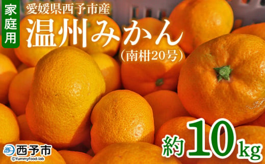 先行予約 ＜愛媛県西予市産 温州みかん（南柑20号）家庭用 約10kg（サイズ不揃い・小傷あり）＞ 訳あり  果物 くだもの ミカン 柑橘 フルーツ 食べて応援 特産品 段畑みかん 愛媛県 西予市【常温】