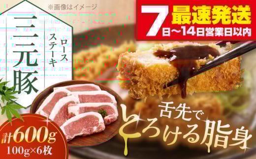 三元豚 ロースステーキ 6枚（100g/枚）  藻塩ナシ 《喜茂別町》【平田牧場】肉 豚肉 ロース ステーキ ステーキ用 とんかつ トンテキ 生姜焼き 冷蔵配送 北海道 [AJAP068] 13000 13000円 1418846 - 北海道喜茂別町