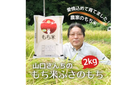 多古米農家 山口さんちのもち米2kg 千葉県奨励品種ふさのもち【1584689】