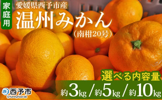 先行予約 [愛媛県西予市産 温州みかん(南柑20号)家庭用 約3kg/5kg/10kg(サイズ不揃い・小傷あり)] 訳あり 果物 くだもの ミカン 柑橘 フルーツ 食べて応援 特産品 段畑みかん 愛媛県 西予市[常温]