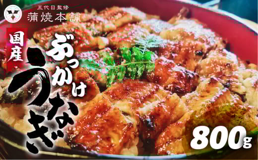 国産 ぶっかけうなぎ 10枚（800g） 1378050 - 愛知県豊橋市