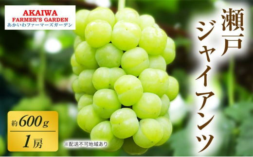 ぶどう 2025年 先行予約 瀬戸ジャイアンツ 約1.2kg 2房 葡萄 ぶどう 2025年 先行予約 瀬戸ジャイアンツ 約1.2kg 2房 葡萄