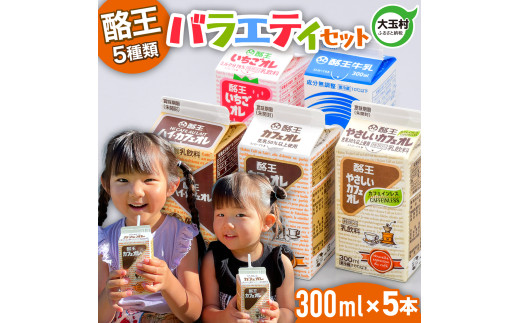  酪王 バラエティ セット 300ml×5本セット ｜ 酪王カフェオレ 福島県 大玉村 生乳 牛乳 こども キッズ ミルク カフェオレ カフェ コーヒー いちごオレ 飲みきり ご当地 福島県 大玉村 | pl-va-300ml-5s