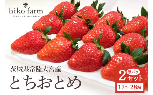 とちおとめ2セット（12〜28粒）黒パケ 1954715 - 茨城県常陸大宮市