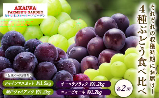 ぶどう 2025年 先行予約 ぶどう 食べ比べ 約1.2kg〜1.5kg×4種 葡萄 岡山県 赤磐市産 フルーツ 果物