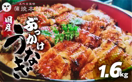 国産 ぶっかけうなぎ 20枚（1.6kg） 1378051 - 愛知県豊橋市
