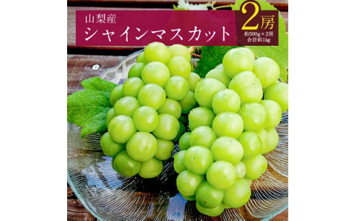 ＜2025年発送＞シャインマスカット 2房 (約1kg) 山梨県産フルーツ 人気のぶどう_ ふるさと納税 ふるさと マスカット ぶどう ブドウ 葡萄 フルーツ 果物 くだもの 人気 美味しい 山梨県 山梨市 山梨 送料無料【1017347】