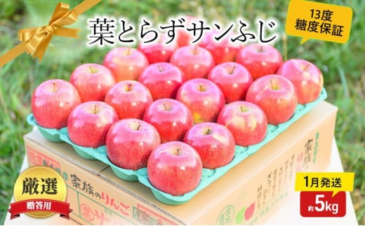 【 1月発送 】 糖度13度以上 おもてなし用 葉とらず サンふじ 約 5kg 【 弘前市産 青森りんご 】 果物 フルーツ デザート 食後 青森県産 産地直送 685867 - 青森県弘前市