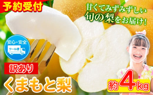 ＼2025年産先行予約／ くまもと梨 訳あり 約4kg 熊本県産 くまもと梨 5玉～16玉前後 期間限定 フルーツ 予約 スイーツ 秋 旬 山江村 クール便 《2025年8月下旬‐11月上旬頃出荷》 SDGs 梨 熊本県産  なし 梨 果物 くだもの デザート ギフト  ご贈答 訳あり 旬の果物 ナシ 814256 - 熊本県山江村