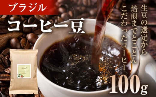 コーヒー豆 ブラジル トミオフクダ DOT ムンドノーボ 100g お試し 自家焙煎 ドリンク 飲料