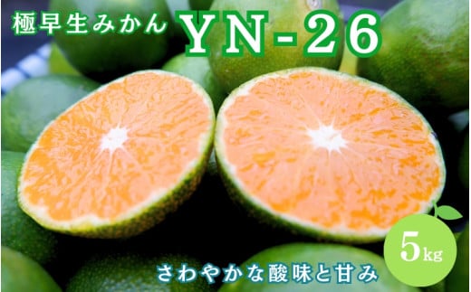 ＼先行予約／ 極早生みかん YN-26 【秀品】 5kg（サイズ混合） ※2025年9月より順次発送 / みかん ミカン 蜜柑 和歌山 早生 極早生 YN-26 温州 田辺市 紀州 くだもの 柑橘 フルーツ 【aoi002-1】 1390900 - 和歌山県田辺市