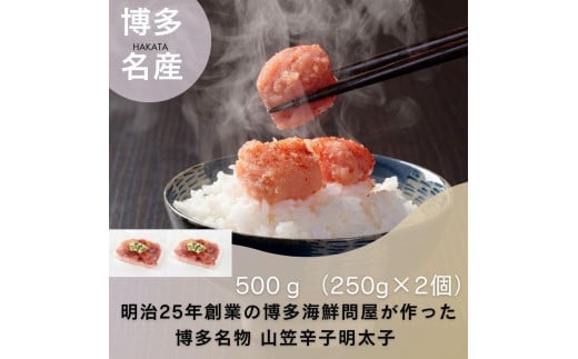 【定期便全6回】稲石　博多名物　山笠辛子明太子500g(250g×2個）