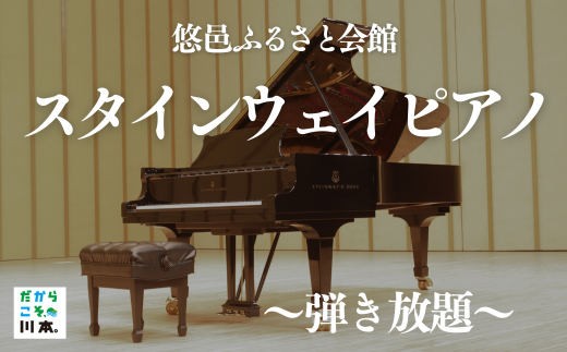 250336【体験型返礼品】悠邑ふるさと会館　大ホール１日貸し切り