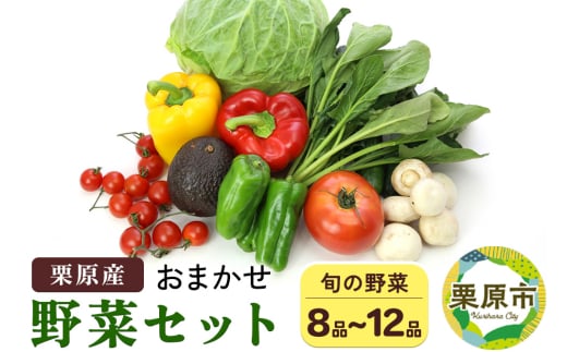 栗原産 お任せ野菜セット（8品～12品） 1950284 - 宮城県栗原市