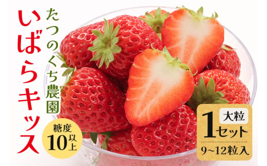 いばらキッス1セット（大粒9〜12粒） 1954720 - 茨城県常陸大宮市