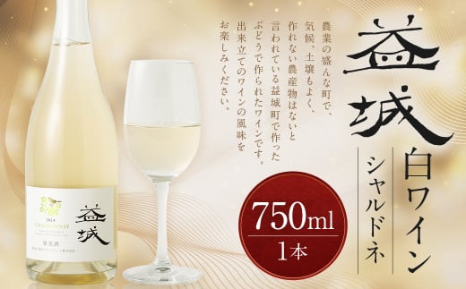 益城ワイン（白）750ml 1本 ワイン 白ワイン シャルドネ