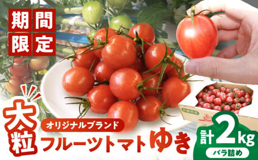 ≪期間限定≫オリジナルブランド「フルーツトマト ゆき」計2kg ミニトマト 野菜 サラダ 国産_T047-004