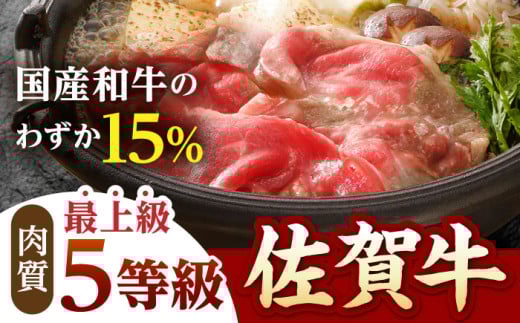 【全3回定期便】佐賀牛 赤身 定期【山下牛舎】 [HAD099] 佐賀牛 牛肉 肉 黒毛和牛 精肉 赤身 定期便 定期 