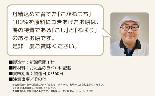 新潟県関川村のふるさと納税 絶品!関川村産こがねもち100%使用のもち6パック【1085591】